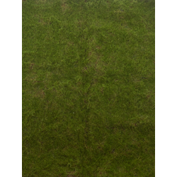 Nova nature Moss mat green 100x100 cm kunstbloem - 