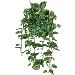 Louis maes Scindapsus hanger l85 cm groen zijde nepbloem - 
