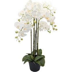 Buitengewoon de boet Orchidee kunstplant 6-tak 88 cm, wit - 