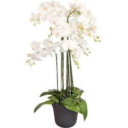 Buitengewoon de boet Orchidee kunstplant 9-tak 110 cm, wit - 