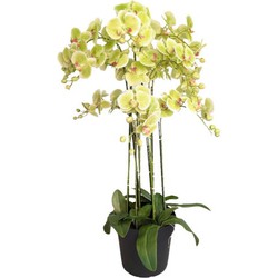 Buitengewoon de boet Orchidee kunstplant 9-tak 110 cm, groen - 