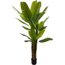 Buitengewoon de boet Kunstplant bananenplant, 220 cm - 