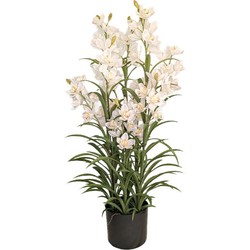Buitengewoon de boet Cymbidium kunstplant 125 cm, wit - 