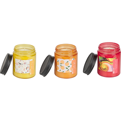 Beliani FRUITY BLOOM-Geurkaars set-Bes|Gele bes|Gouden appel-Soja wax