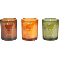 Beliani SHEER JOY-Geurkaars set-Gouden appel|Chocolade|Amber-Soja wax