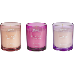 Beliani SHEER JOY-Geurkaars set-lavendel|rozemarijn|geranium-Soja wax