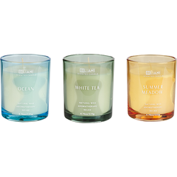 Beliani SHEER JOY-Geurkaars set-Oceaan|Witte Thee|Zomerweide-Soja wax