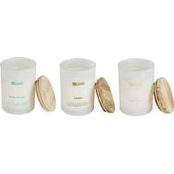 Beliani  SIMPLICITY - Geurkaars set - Leer|Zeebries|Amber - Soja wax