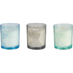 Beliani  SHEER JOY - Geurkaars set - Bergamot|Zeebries|Salie zeezout