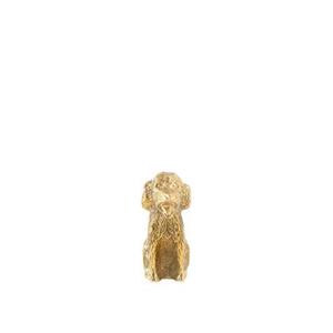 Sissy-Boy Goudkleurige kandelaar labradoodle