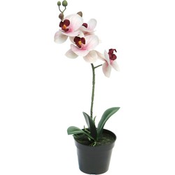 Nova nature RT Phalaenopsis Bora x1 in pot 35 cm pink kunstbloemen - 