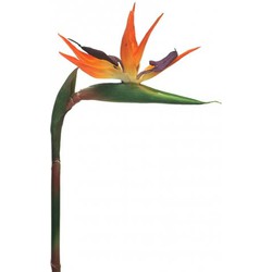 Nova nature Strelitzia Small 84 cm oranje kunstplant - 