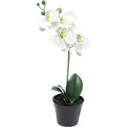 Nova nature RT Phalaenopsis Bora x1 in pot 35 cm white kunstbloemen - 