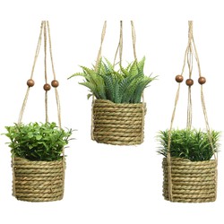 Everlands Hangmand plant pe d8h12cm groen a3  - 
