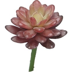 Nova nature Kunst Sedum pick bordeaux - 16 cm - 
