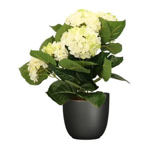 Merkloos Hortensia kunstplant/kunstbloemen cm - wit/groen - in pot zwart mat -