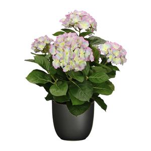 Mica Decorations Hortensia kunstplant/kunstbloemen 45 cm - paars/groen - in pot zwart mat -