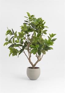 Eucalyptus Tree kunstplant H240cm