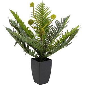 Kare Design Kare Kunstplant Farn 55cm