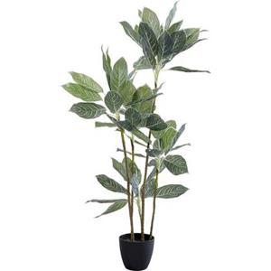 Kare Design Kare Kunstplant Calathea 140cm