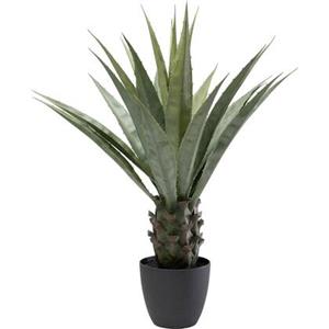 Kare Design Kare Kunstplant Agave 85cm