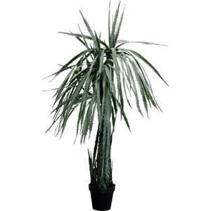 Kare Design Kare Kunstplant Dragon Tree 155cm