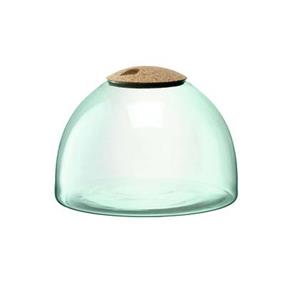 LSA L.S.A. Canopy Planten Terrarium 22cm