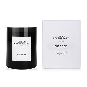 Urban Apothecary Luxury Boxed Glass Candle Fig Tree