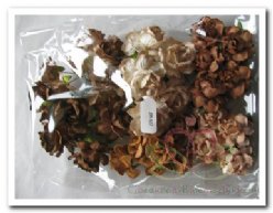 Decoflorall Mulberry Bruintinten mixed 30-35 Mulberry Bruint