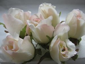 Decoflorall Roosjes 5-6cm. Zijde Best Quality Champagne-Roze 2tone 10 st Roos zijdebloem