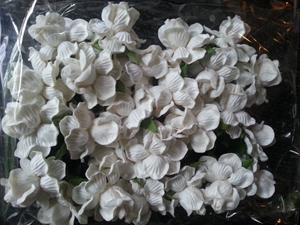 Decoflorall Mulberry roos Wit 5 cm./pak Mulberry roos P