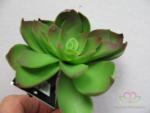 Decoflorall ECHEVERIA Groen Zijde- Latex Succulent ECHEVERIA
