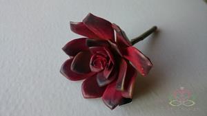 Decoflorall ECHEVERIA BURGUNDY Zijde- Latex Succulent ECHEVERIA