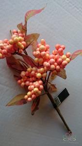 Decoflorall Berrypick Peach.  Berrypick Peach