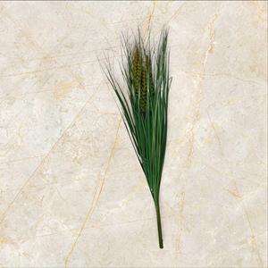 Decoflorall Grasbundel met pluimen 65 cm. Grasbundel met pluimen 65