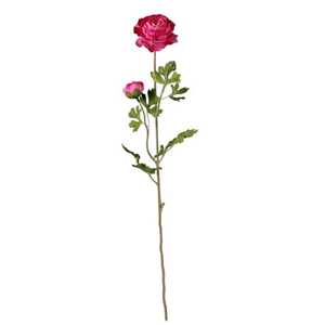 Decoflorall Grote Ranonkel licht vertakt DarkPink 70 cm. Grote Ranonkel
