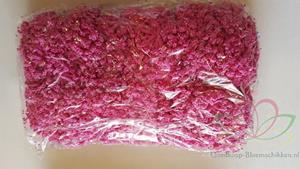 Decoflorall Fieldberries mei Red New Style/pak 144 Fieldberries