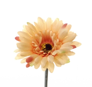 Decoflorall Gerbera 54 cm. FS PEACH Gerbera