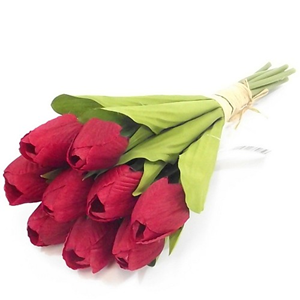 Decoflorall Tulpen Tulpenbundel 7 stuks Red