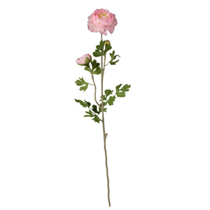 Decoflorall Ranonkel vertakt 70 cm. Roze  bloomon boeket