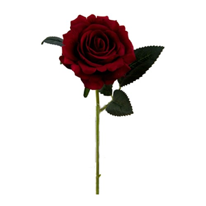 Decoflorall Rode Roos Zijderoos PREMIUM VELVET Open roos kort