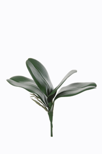 Decoflorall Orchideeblad en wortel 20cm Latex mooie bladeren