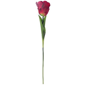 Decoflorall . Zijde Tulpen