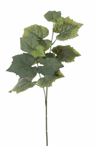 Decoflorall Druivenblad tak l50cm groen mooi blad