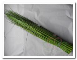 Decoflorall Grasbundel +/- 65 cm. Berengras Berengras bicolor