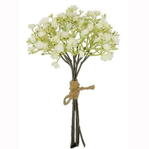 Decoflorall Gipskruid Dry color cream 29cm bundel   Gipskruid voor corsage of bloemen 