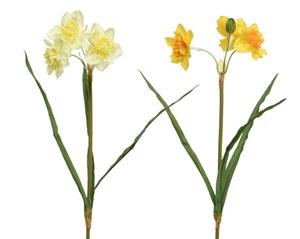 Decoflorall Actie Narcis zijdebloem triple bush Wit links op foto / stuk Narcis zijdebloem 