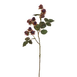 Decoflorall Bramentak Mulberry Spray 54cm - Purple - Van het merk: PURE, Zijde Merk: PURE   Zijde 