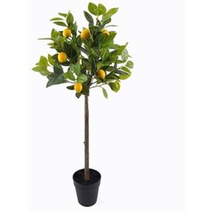 Signes Grimalt Kunstplanten  Citroenboom M