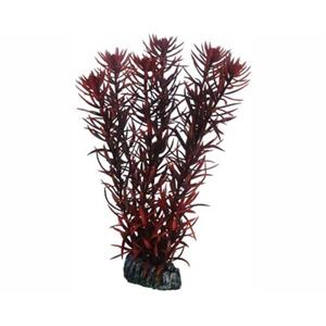 Hobby Plant Eusteralis 20CM